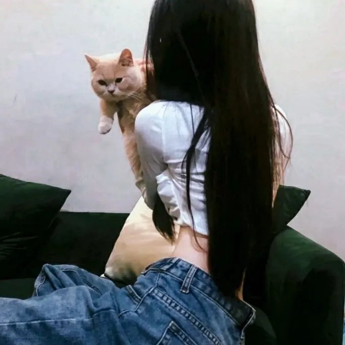 白蛇:情劫